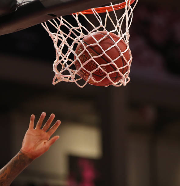 体能储备与 体能储备与